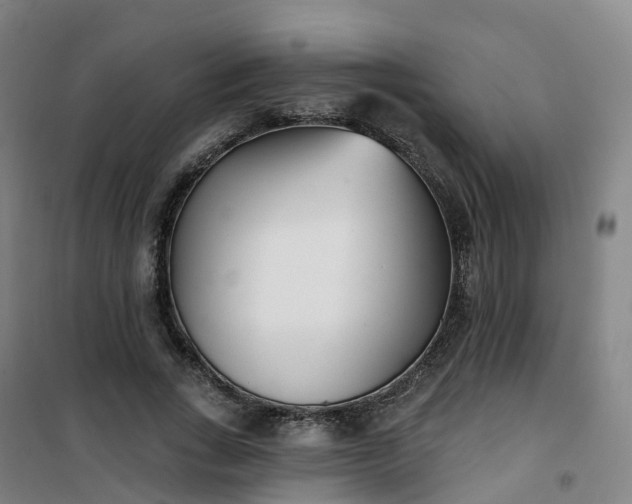 X0000101180735200807111115