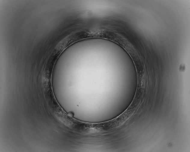 X0000101180737200807111115