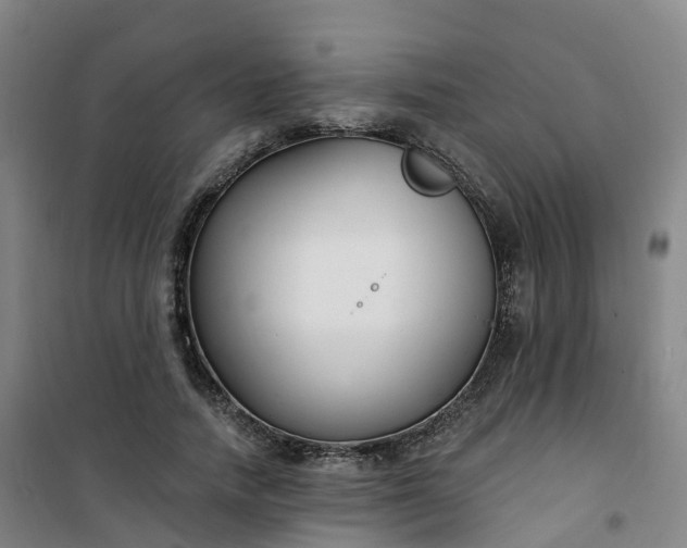 X0000101180738200807111115
