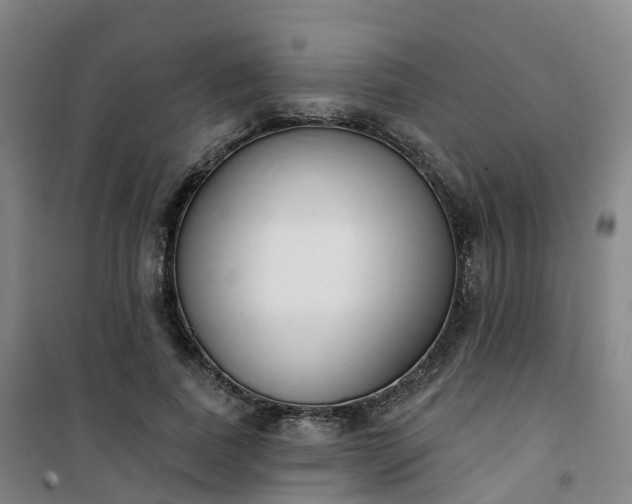 X0000101180739200807111115