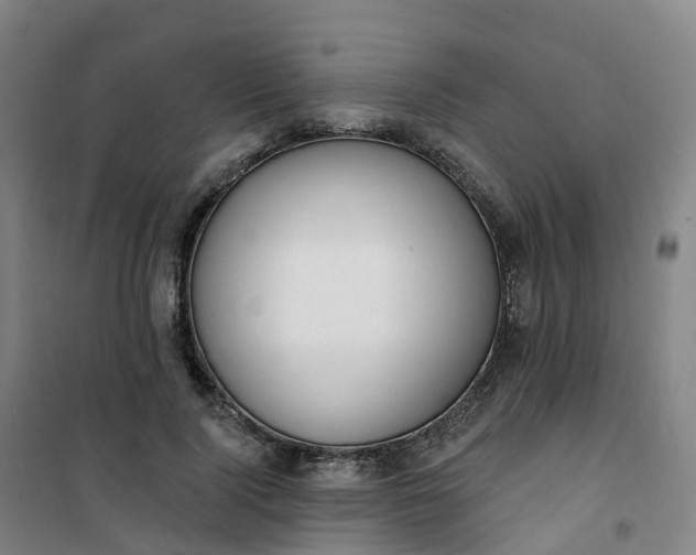 X0000101180740200807111115