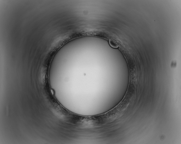 X0000101180742200807111115