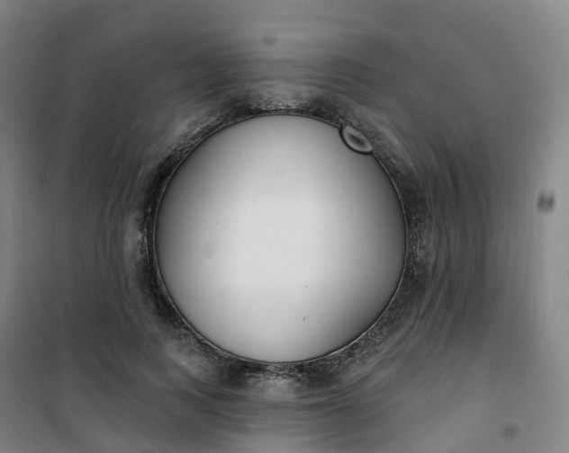 X0000101180743200807111115