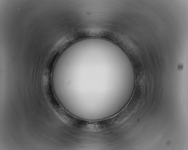 X0000101180744200807111115