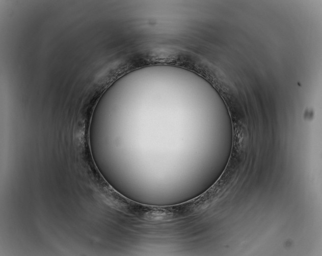 X0000101180745200807111115