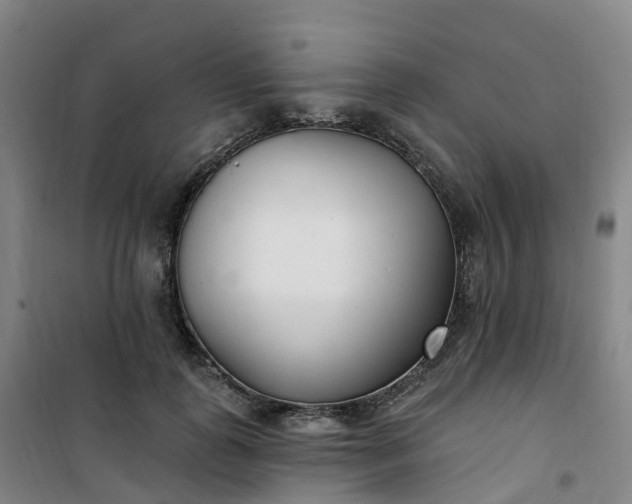 X0000101180747200807111115