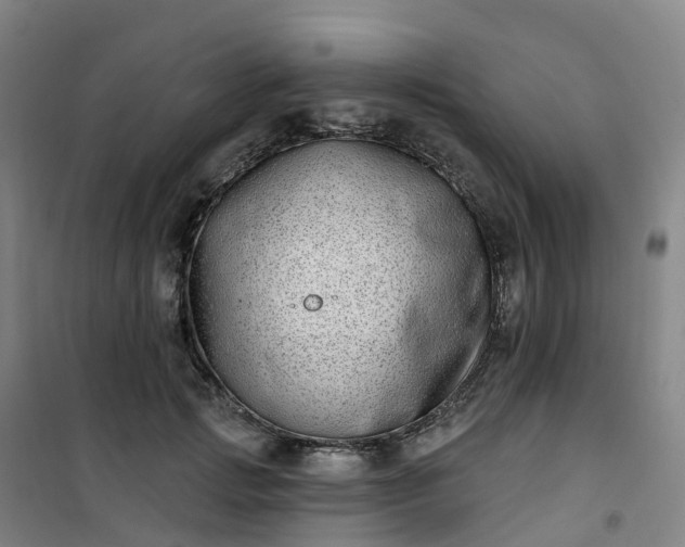 X0000101180749200807111115