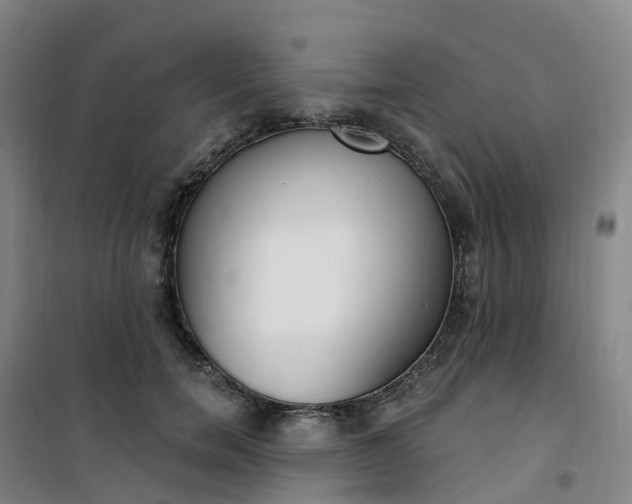 X0000101180750200807111115