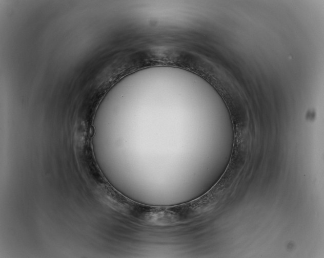 X0000101180752200807111115