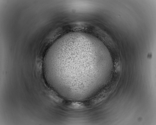 X0000101180753200807111115