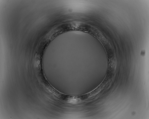 X0000101180754200807111115