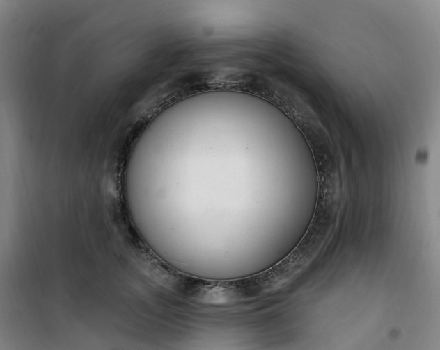 X0000101180755200807111115