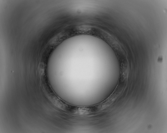 X0000101180758200807111115