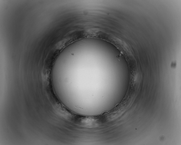 X0000101180759200807111115