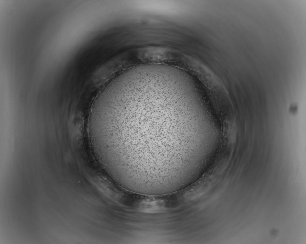X0000101180760200807111115