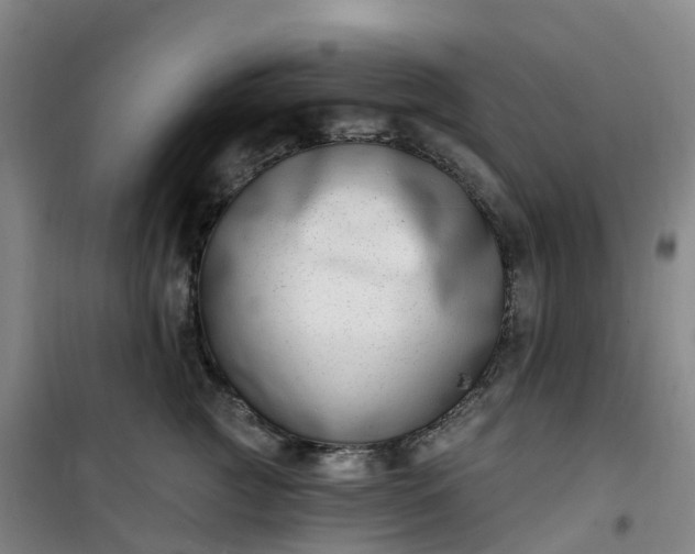 X0000101180761200807111115
