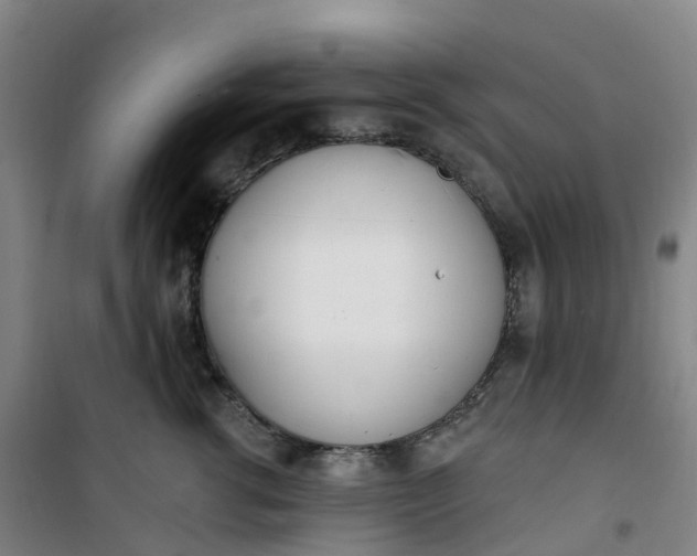 X0000101180762200807111115