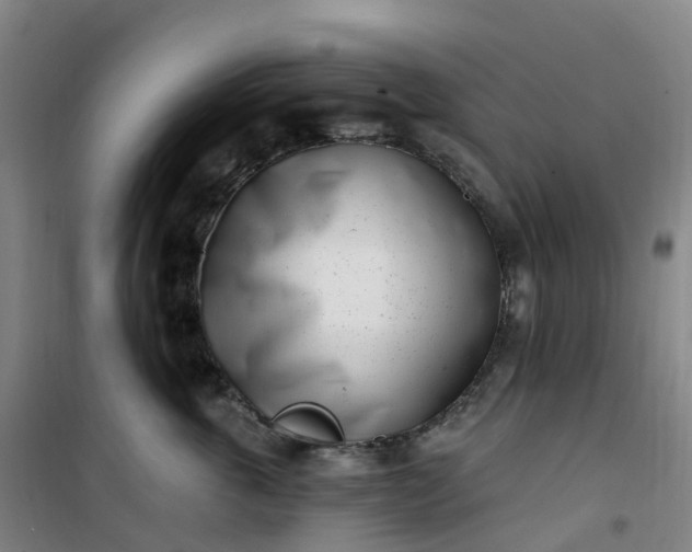 X0000101180763200807111115
