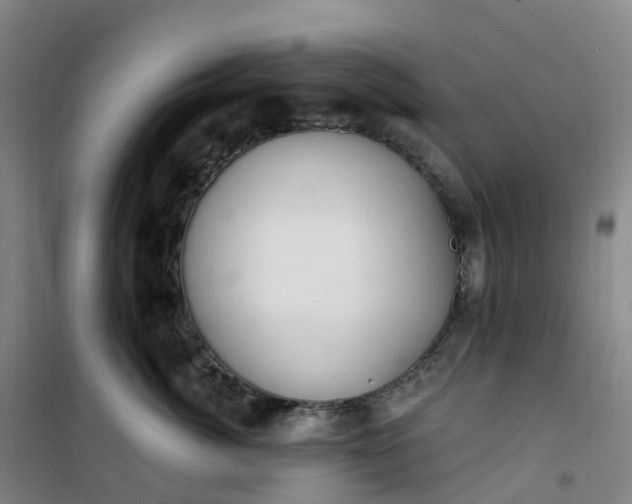 X0000101180764200807111115