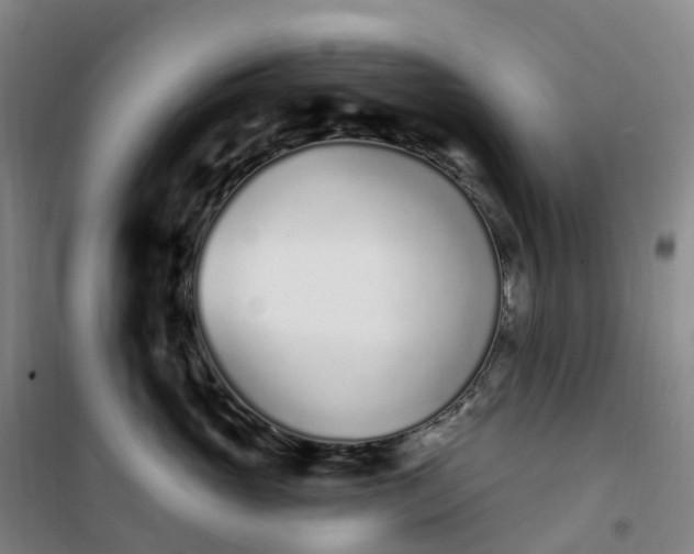 X0000101180765200807111115