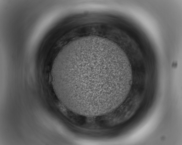 X0000101180766200807111115