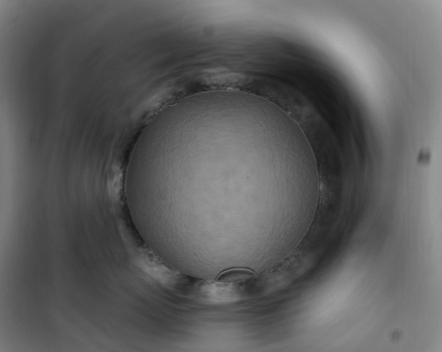 X0000101180767200807111115