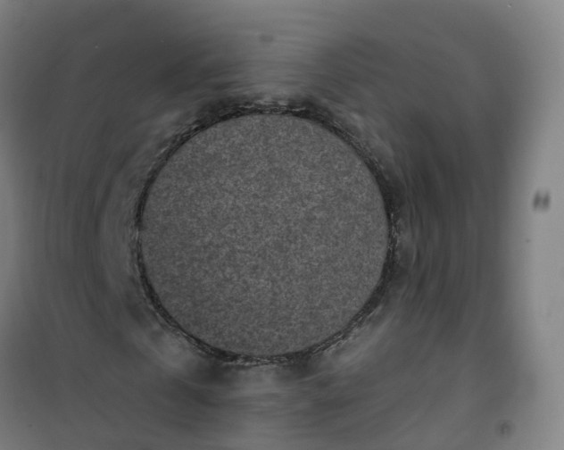 X0000101180769200807111114