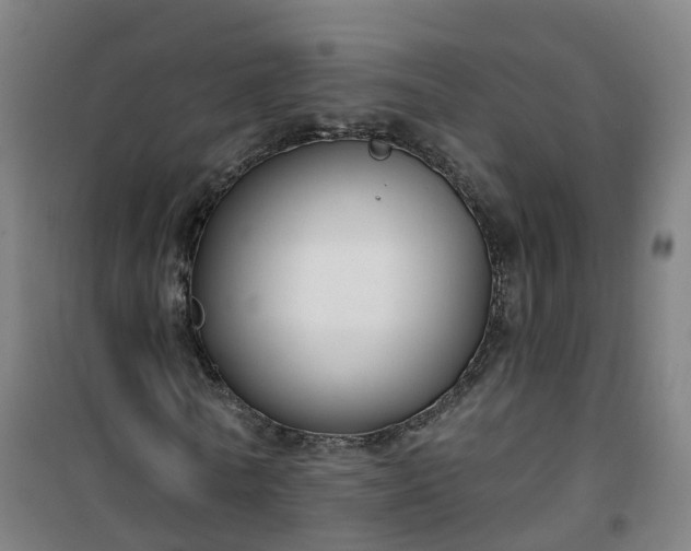 X0000101180770200807111114