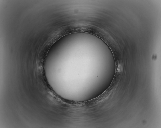 X0000101180771200807111114