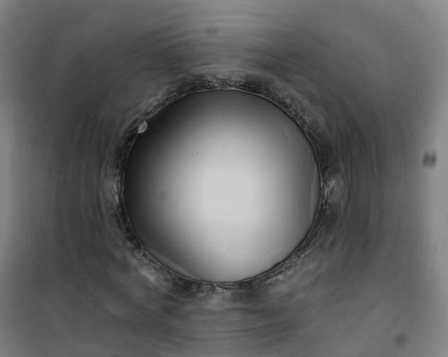 X0000101180772200807111114