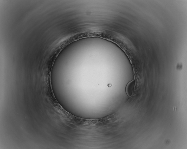 X0000101180773200807111114