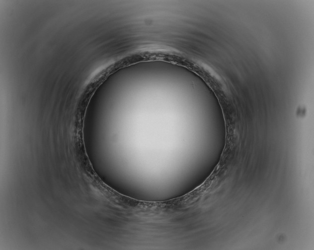 X0000101180775200807111114