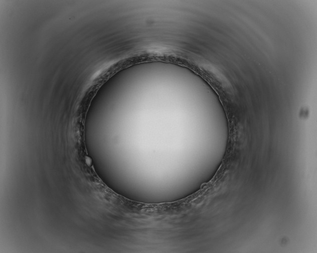 X0000101180776200807111114