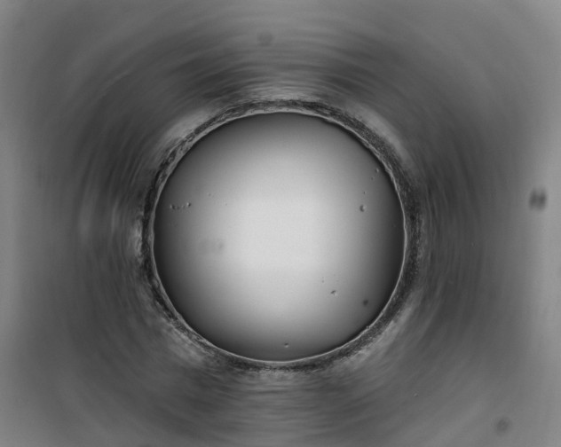 X0000101180777200807111114