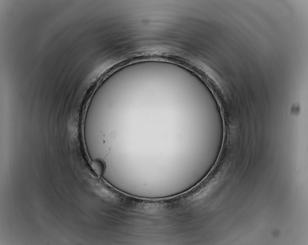 X0000101180778200807111114