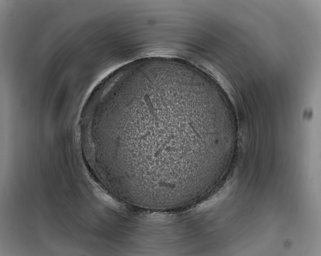 X0000101180779200807111114
