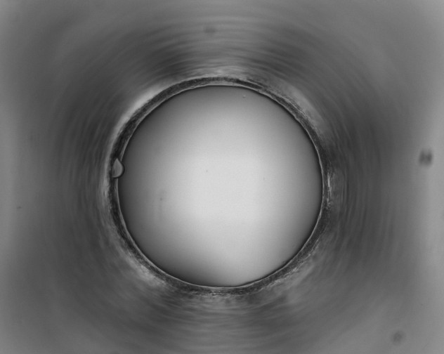 X0000101180780200807111114