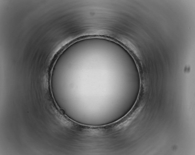 X0000101180781200807111114