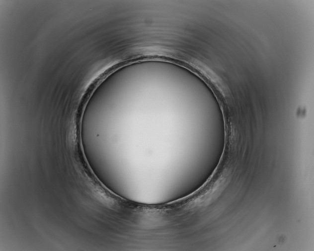 X0000101180782200807111114