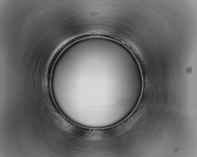 X0000101180784200807111114
