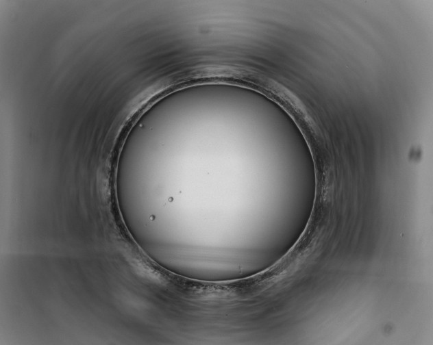 X0000101180786200807111114
