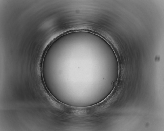 X0000101180789200807111114