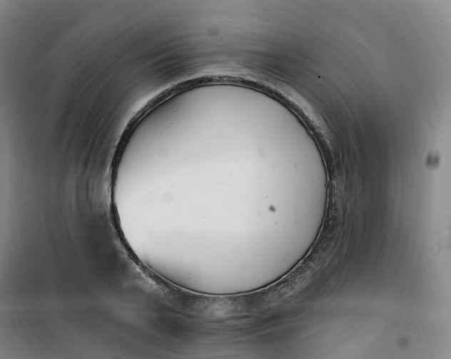 X0000101180791200807111114