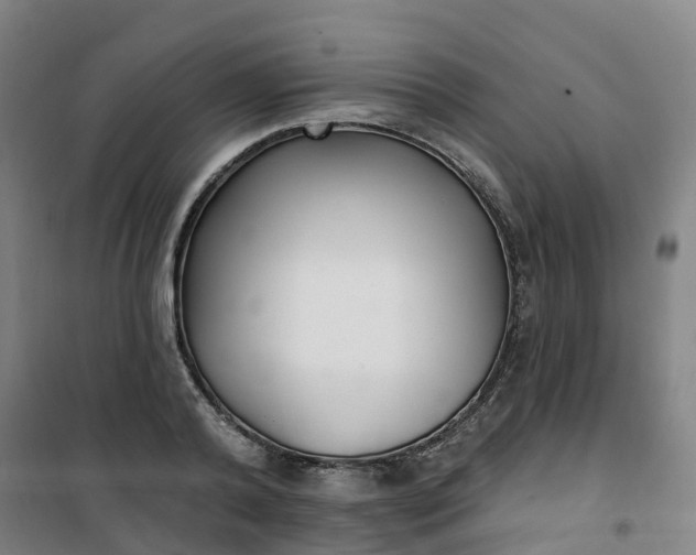 X0000101180792200807111114