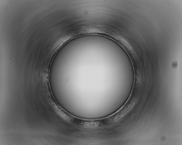 X0000101180793200807111114