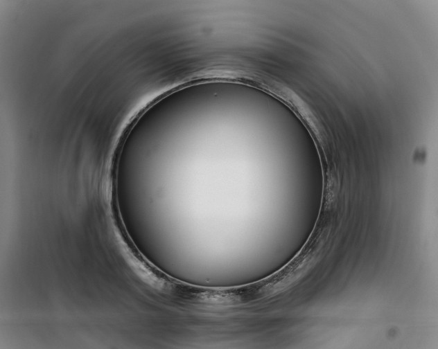 X0000101180795200807111114