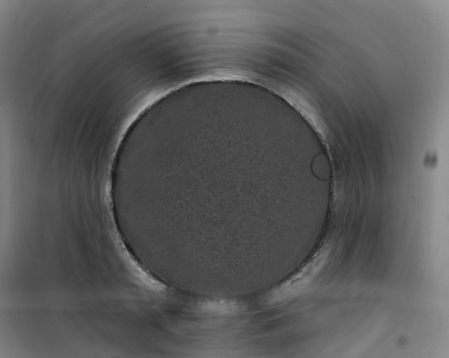 X0000101180797200807111114