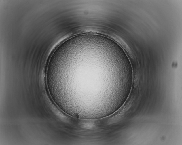 X0000101180798200807111114