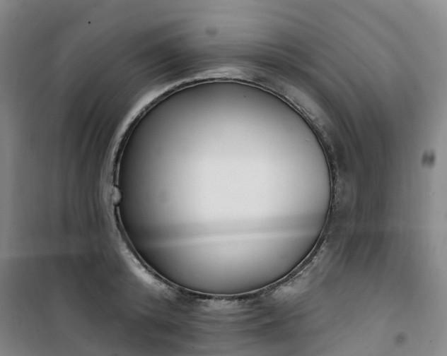 X0000101180800200807111114