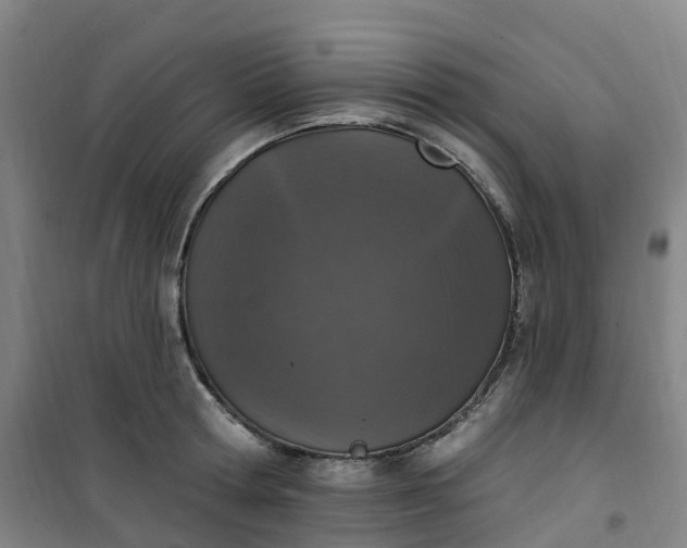 X0000101180802200807111114